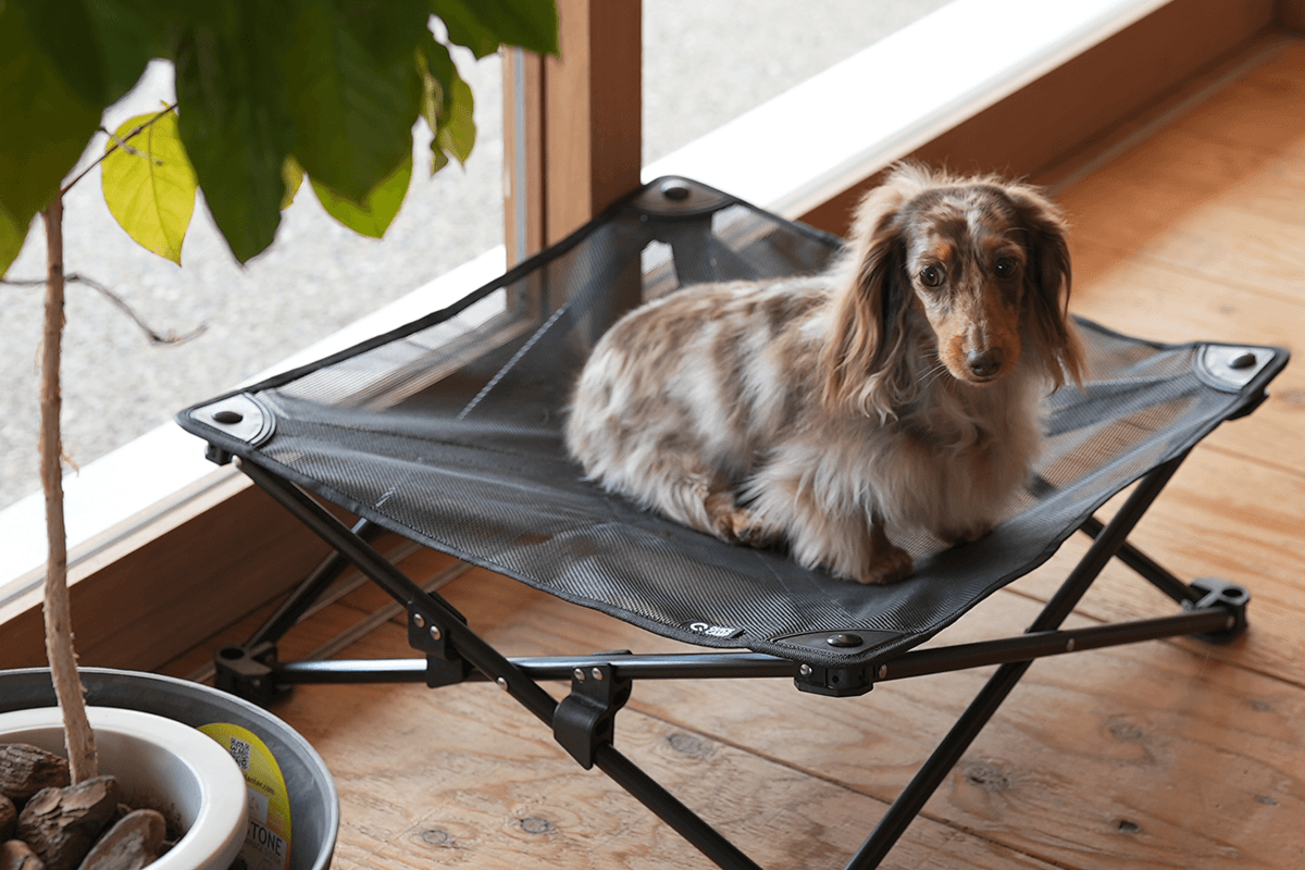 季節や愛犬に合わせてぴったりのタイプを選ぶ2