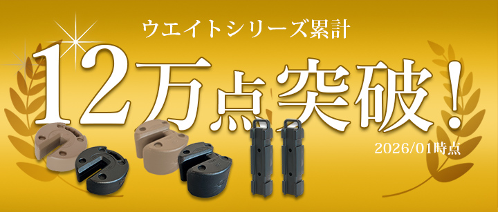 QC-FMW10_フィールドマルチウエイト10kg×2